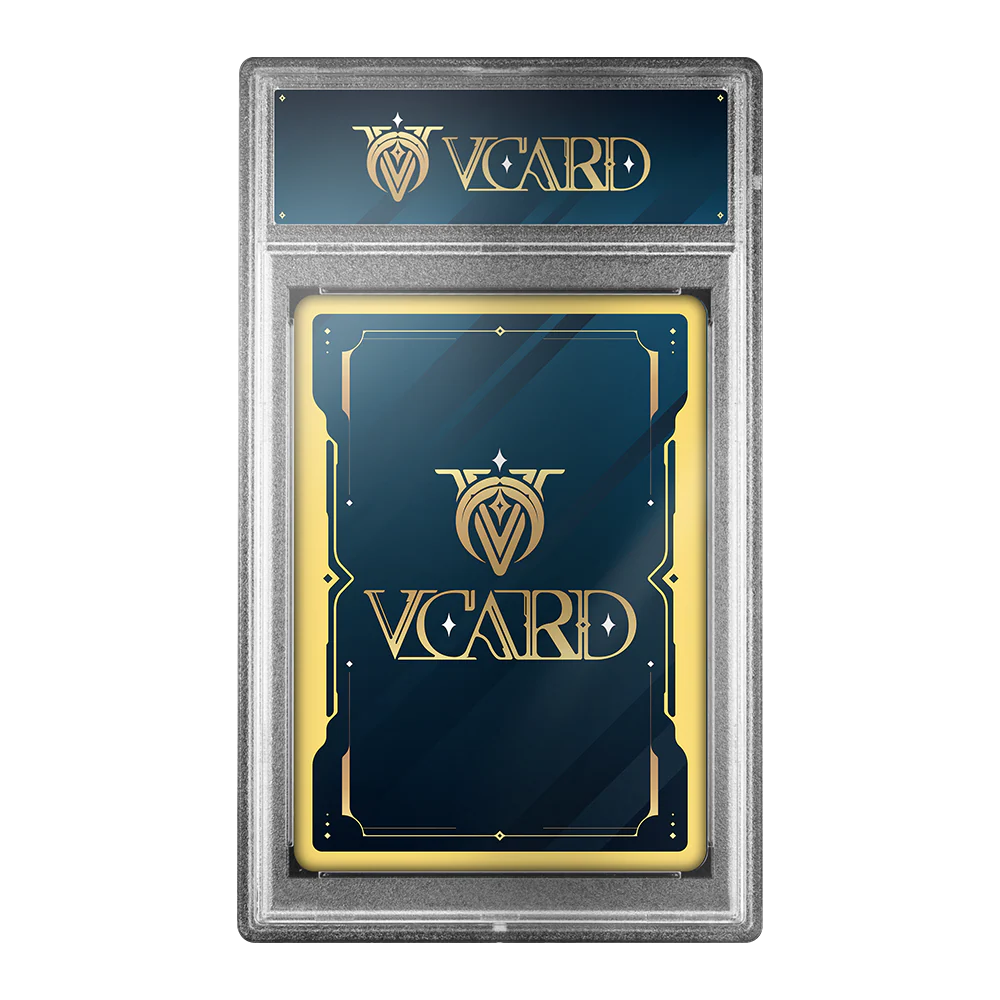 Vcard Promo Slab - Image 5