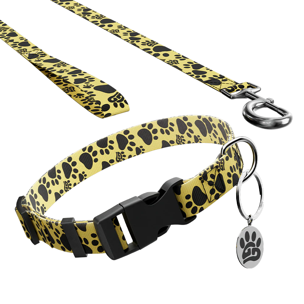 WOOF: Dog Leash & Collar - Image 2